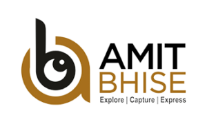 Amit Bhise - - Client