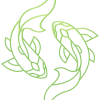 Fish-blog